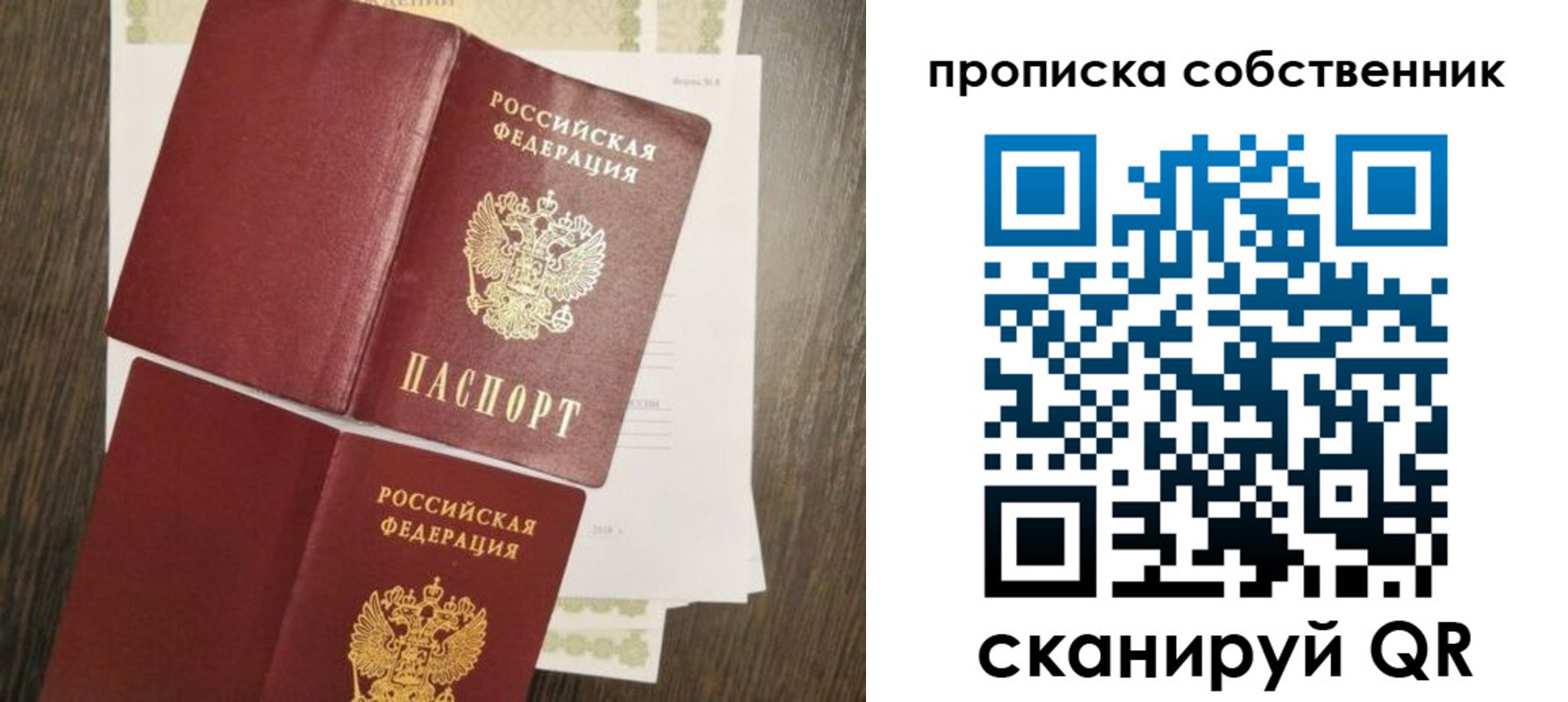 прописка для школы в Оренбургской области